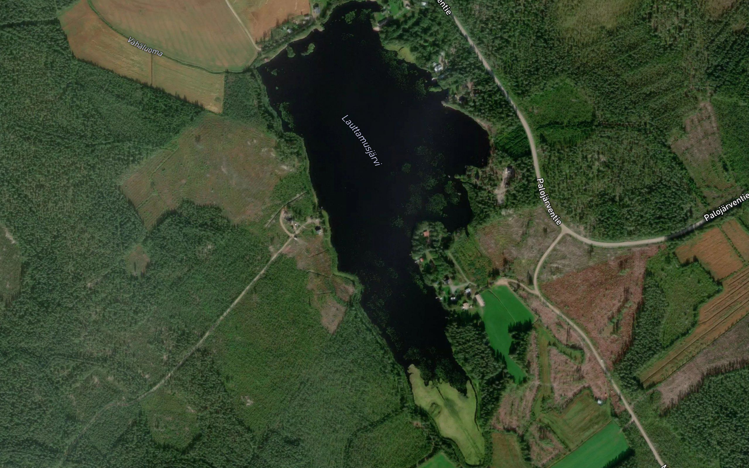 Lauttamusjarvi