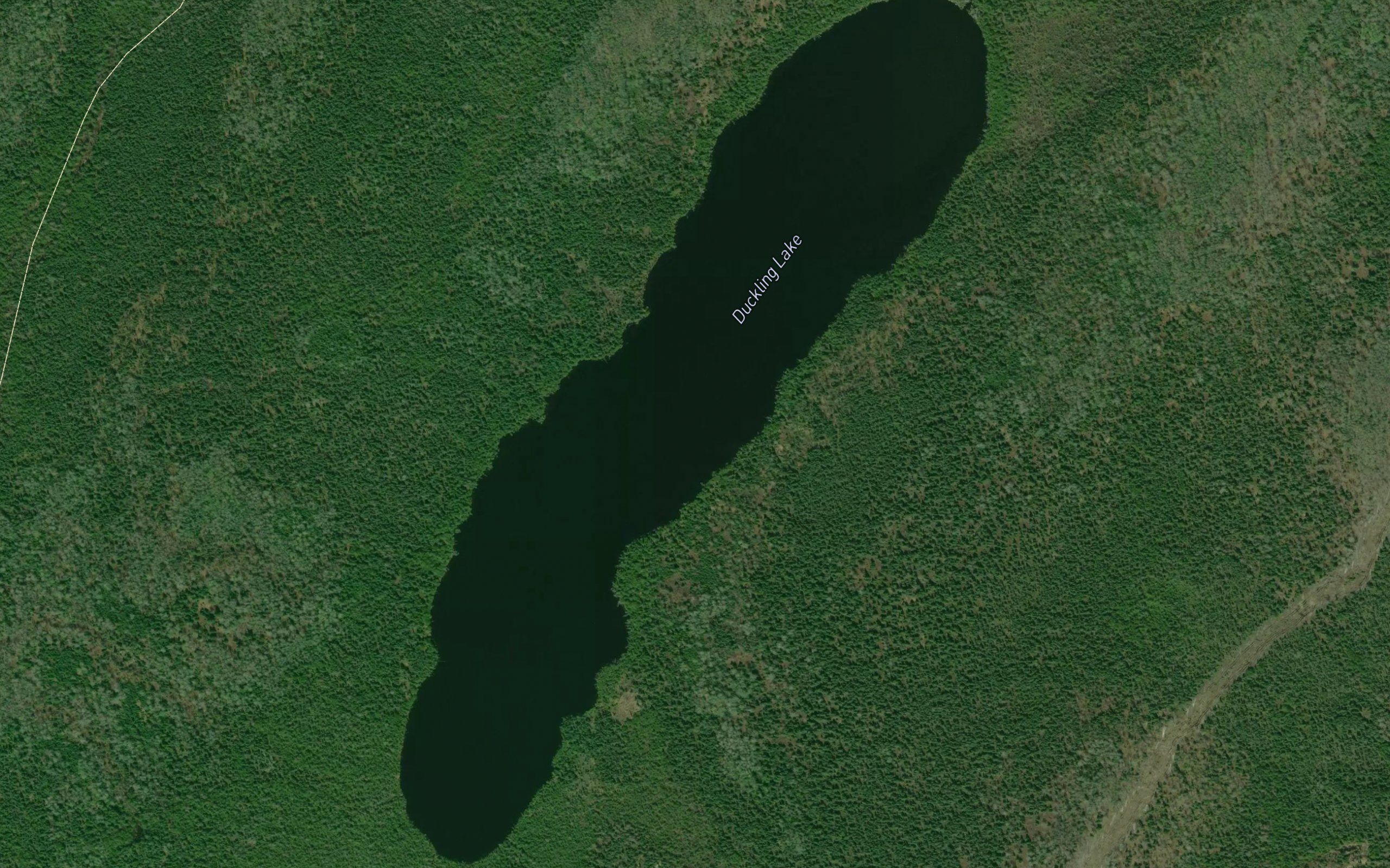 Duckling Lake