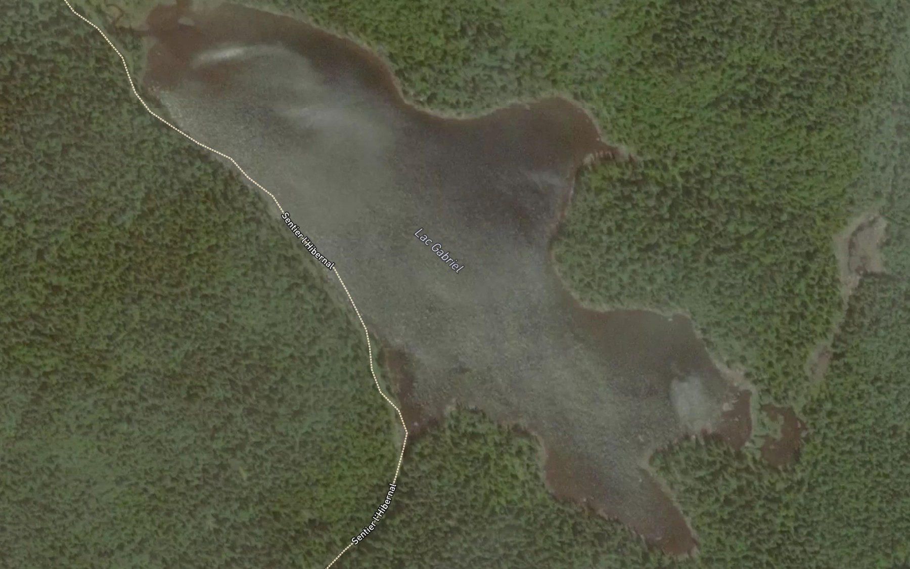 Satellite map of the Lac Gabriel