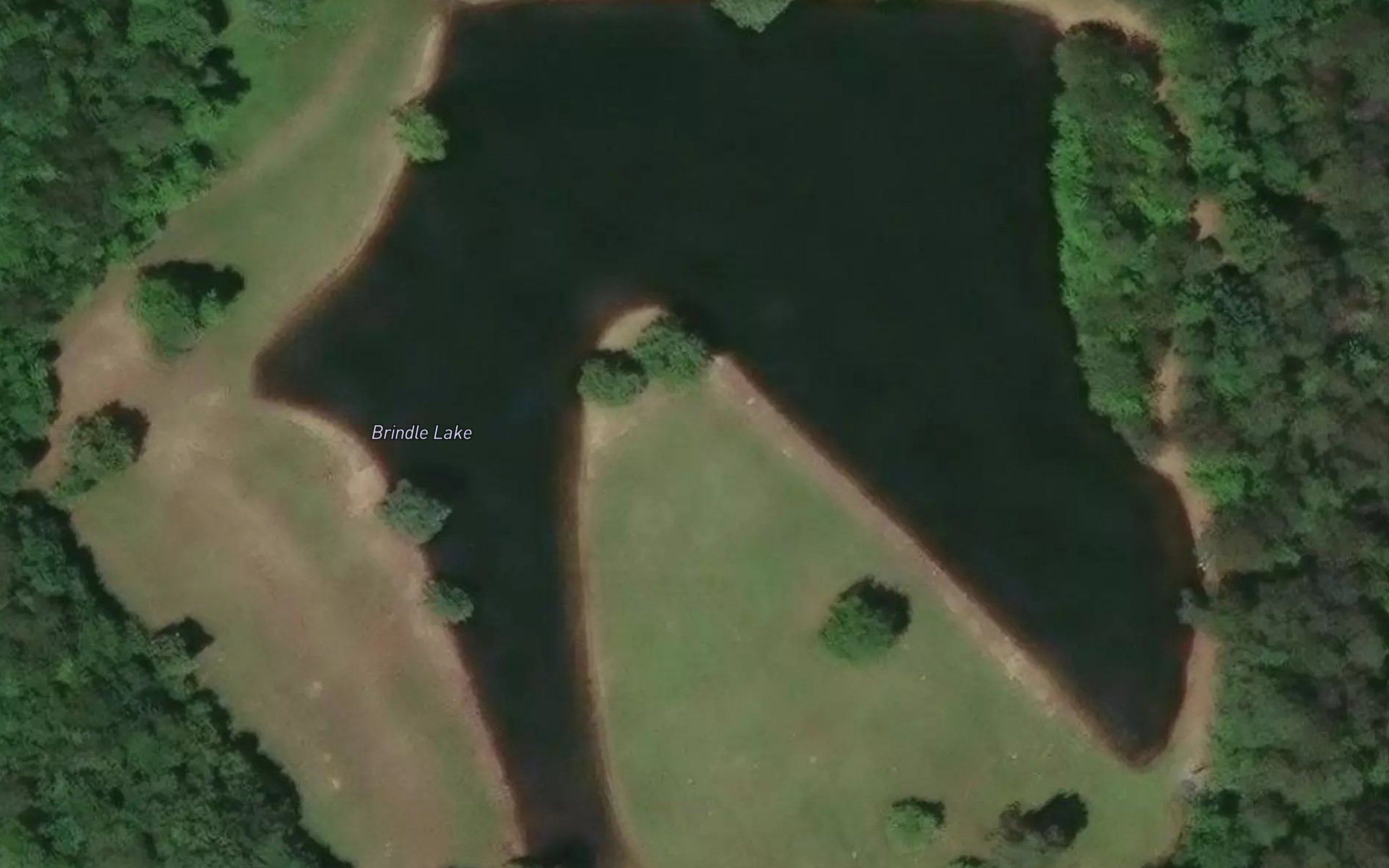 Brindle Lake
