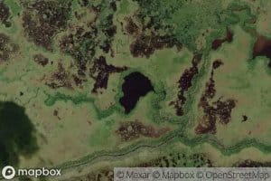 Mud Lakes