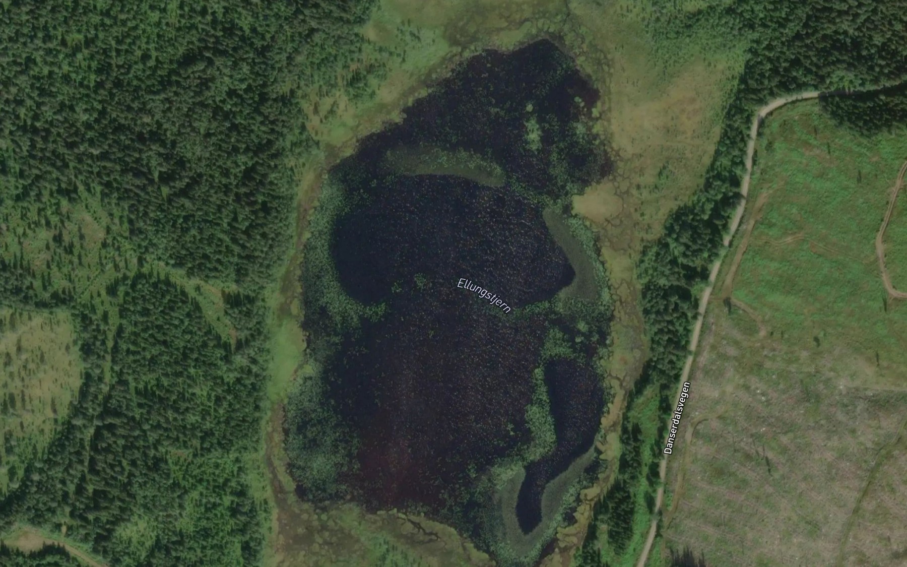 Satellite map of the Ellungstjernet
