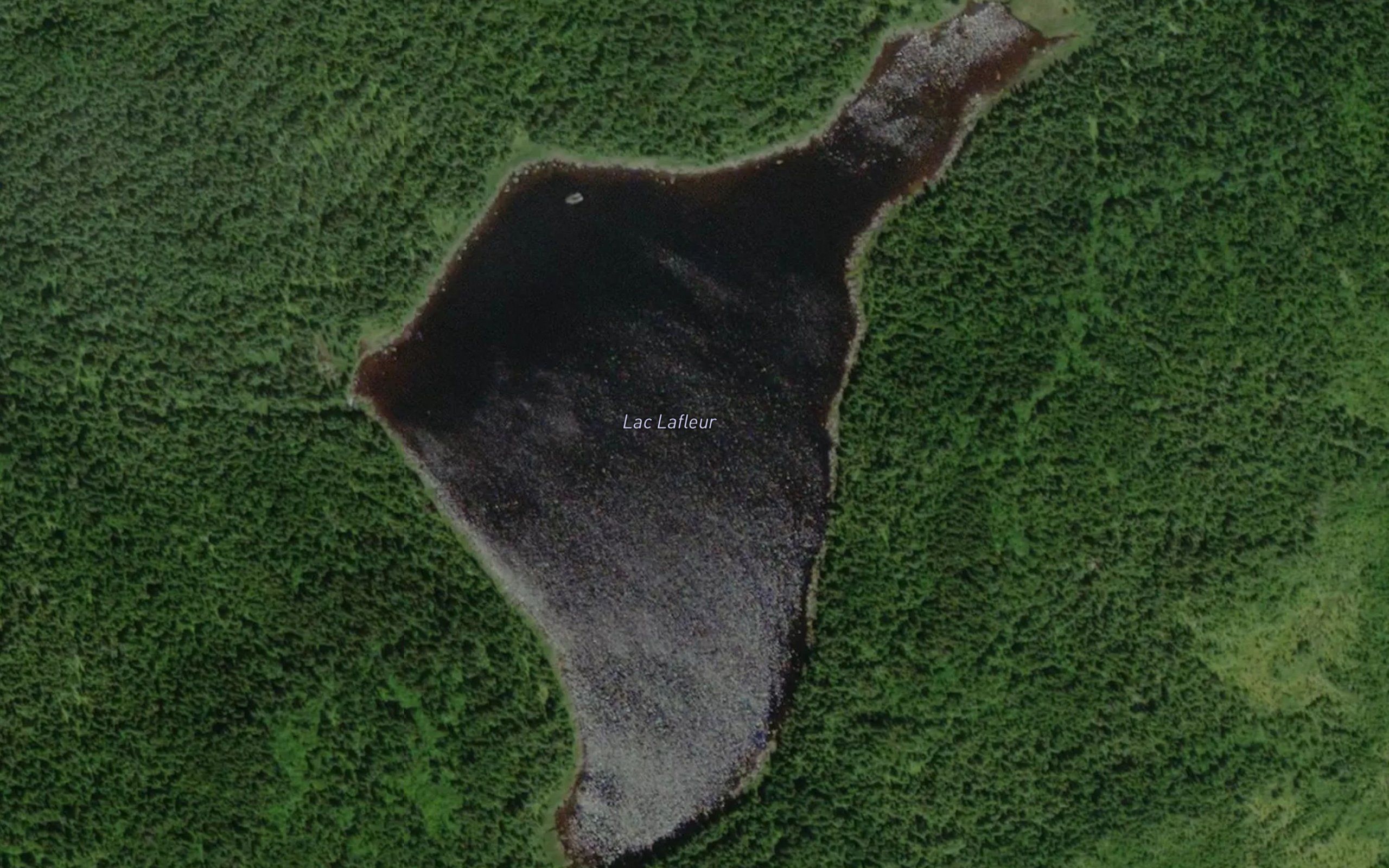 Lac Lafleur