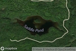 Saddle Pond
