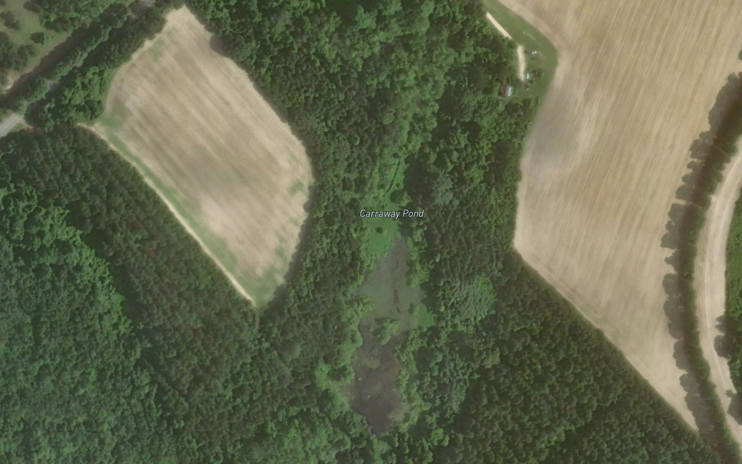 Carraway Pond