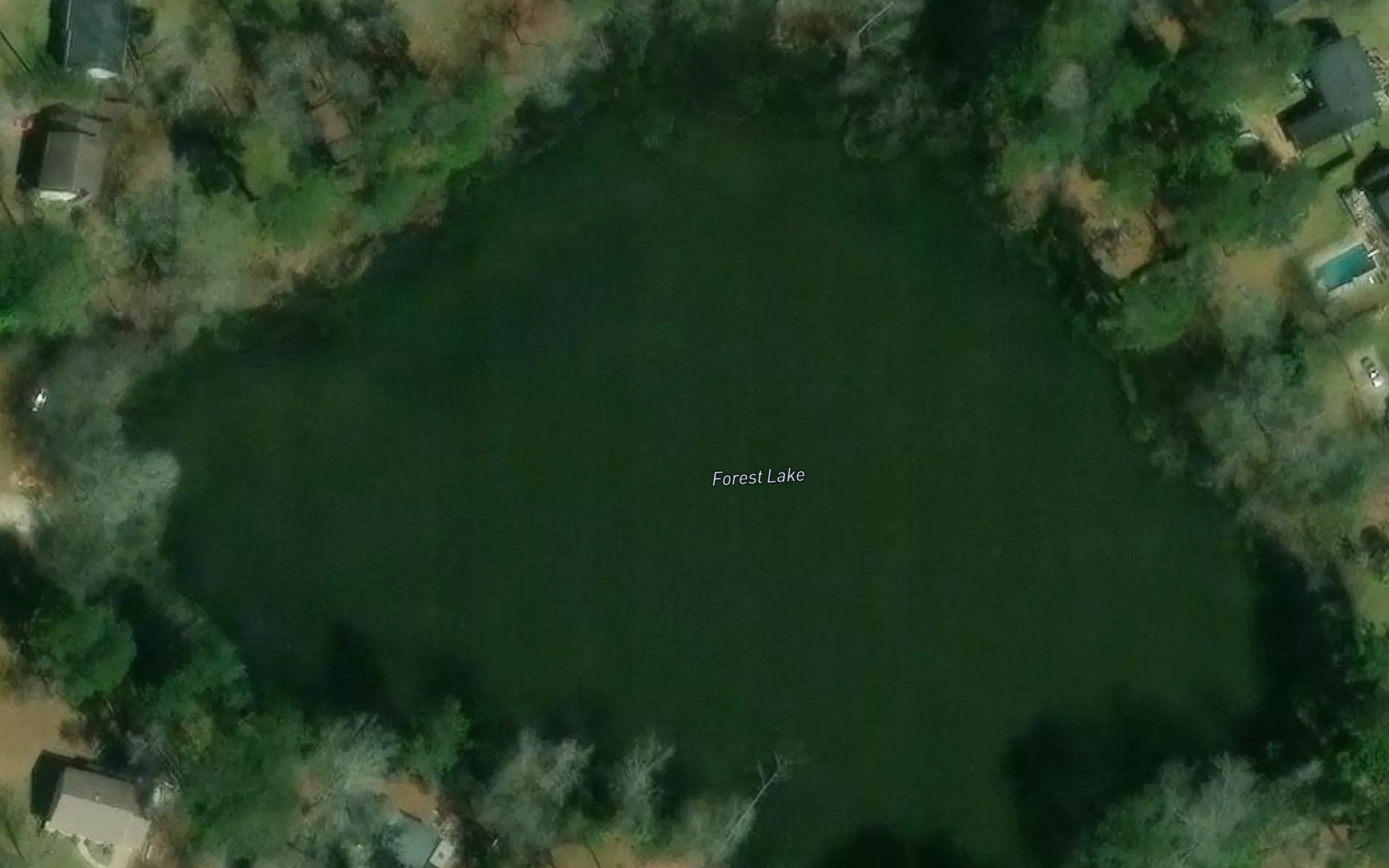 Forest Lake