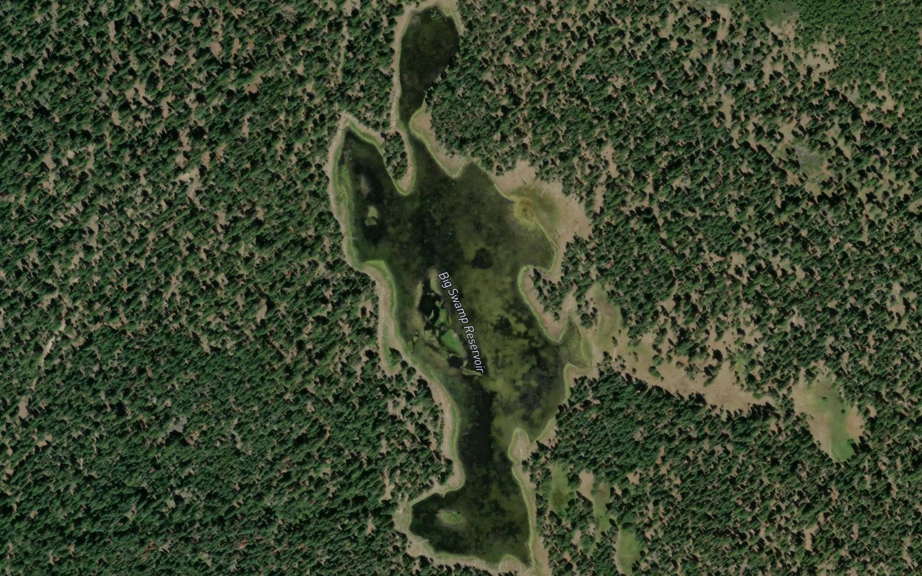 Satellite map of the Big Swamp Reservoir