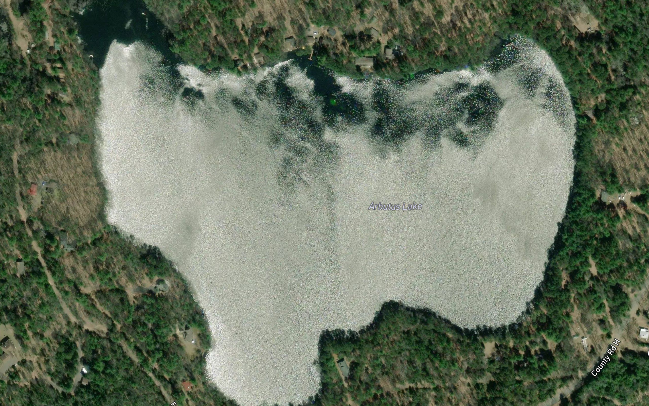 Arbutus Lake