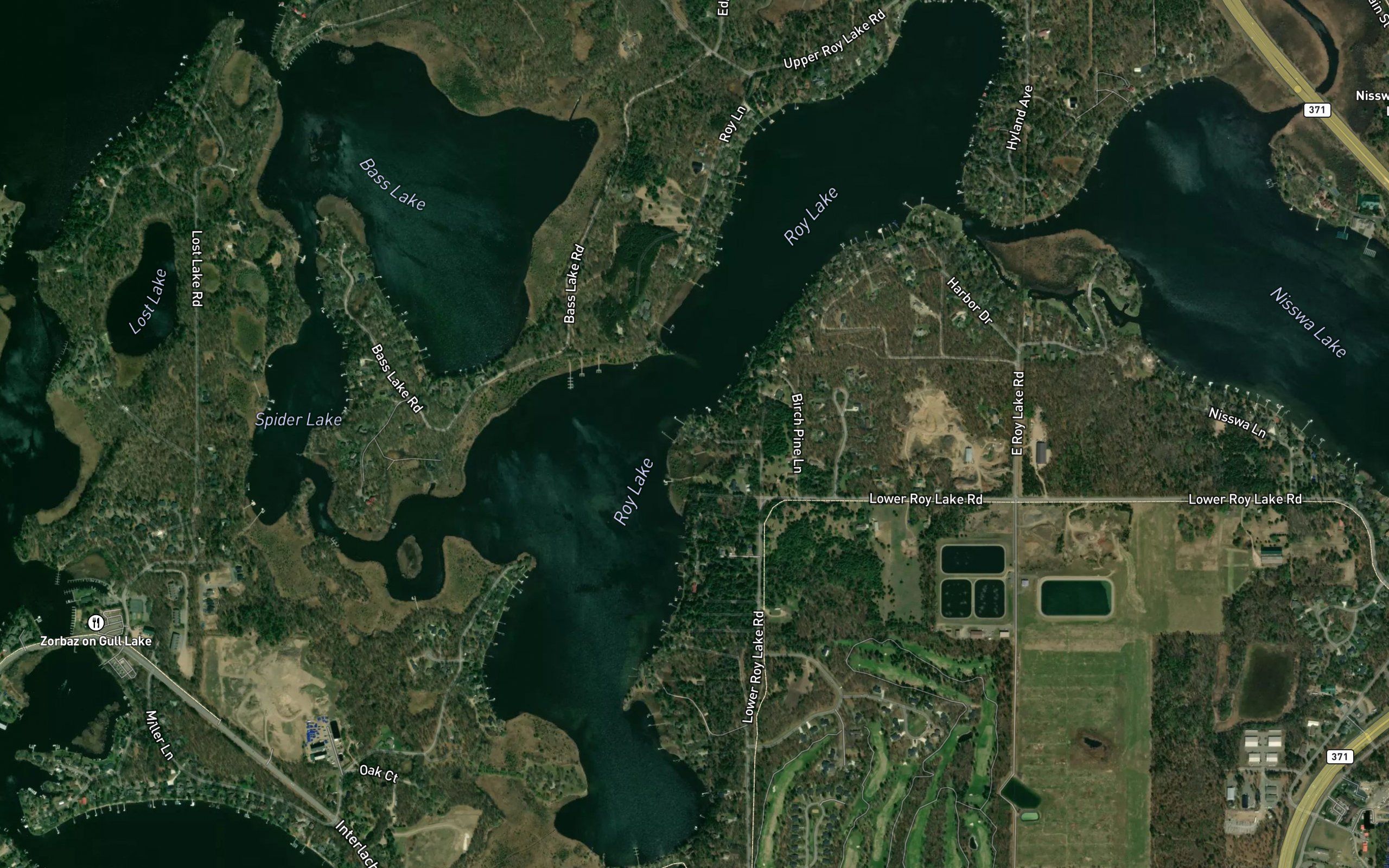 Roy Lake
