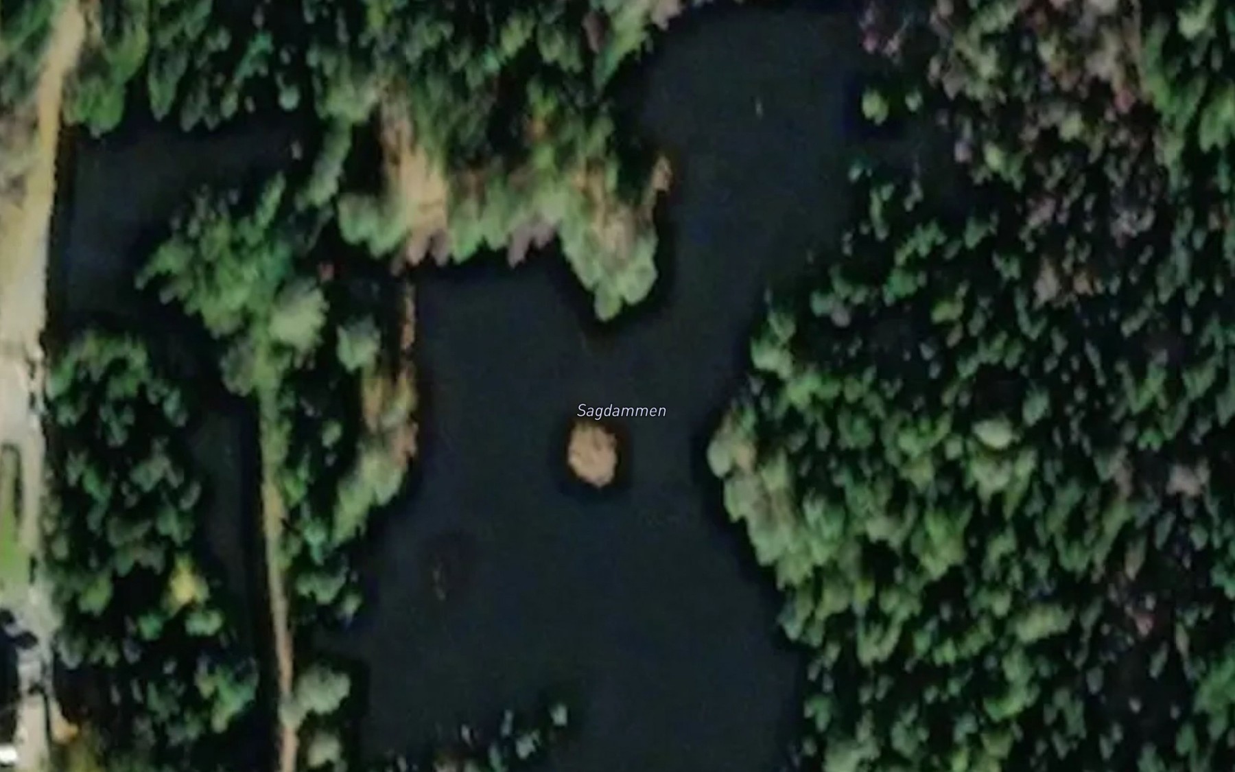 Satellite map of the Sagdammen