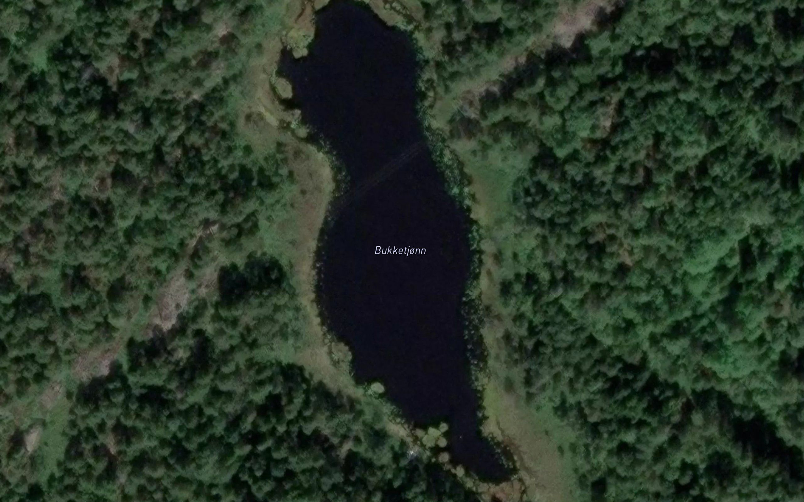 Bukketjonn