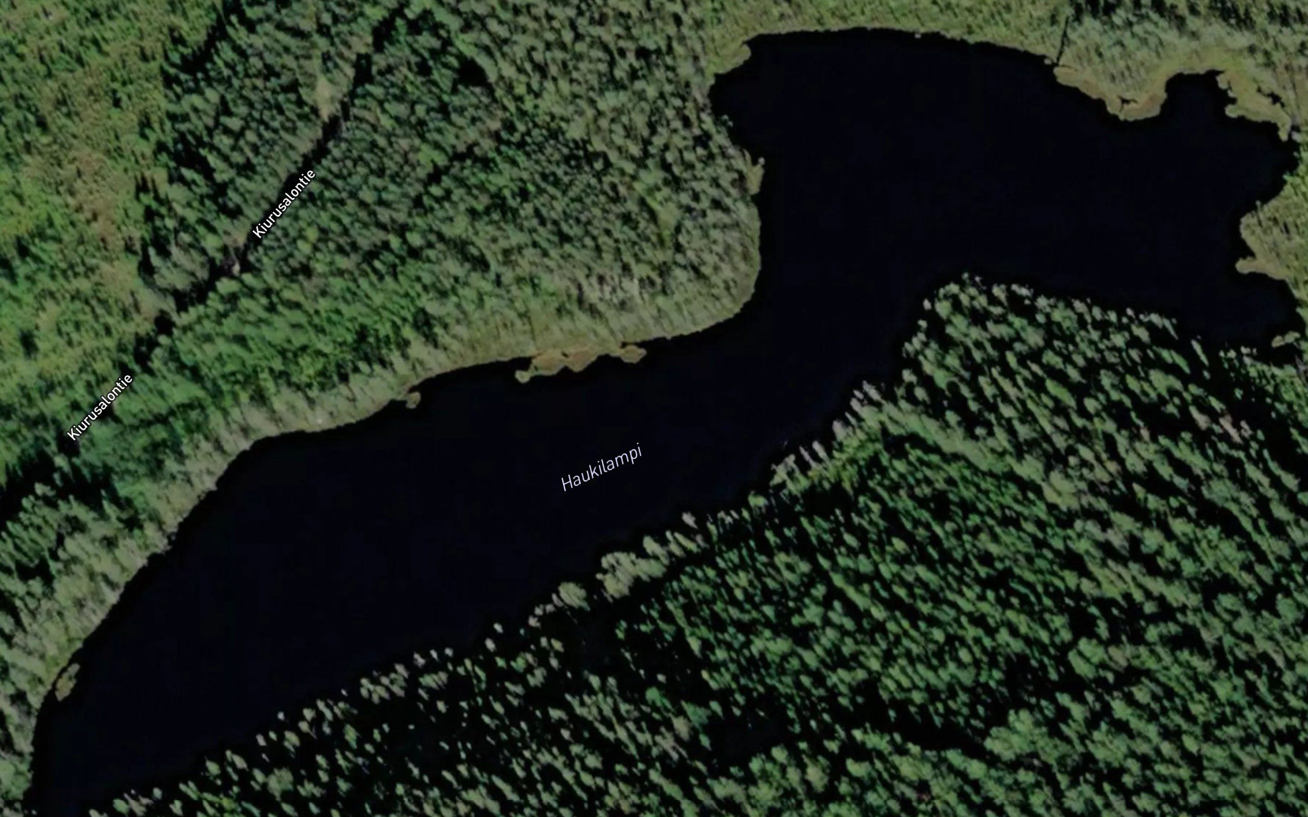 Haukilampi