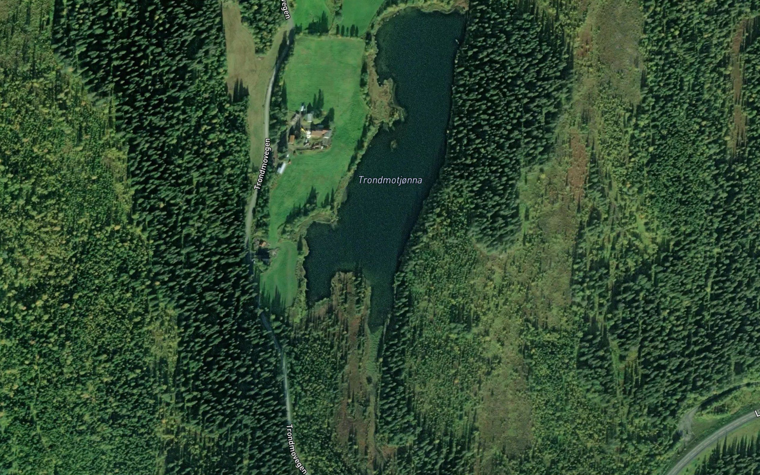 Tronmotjorna