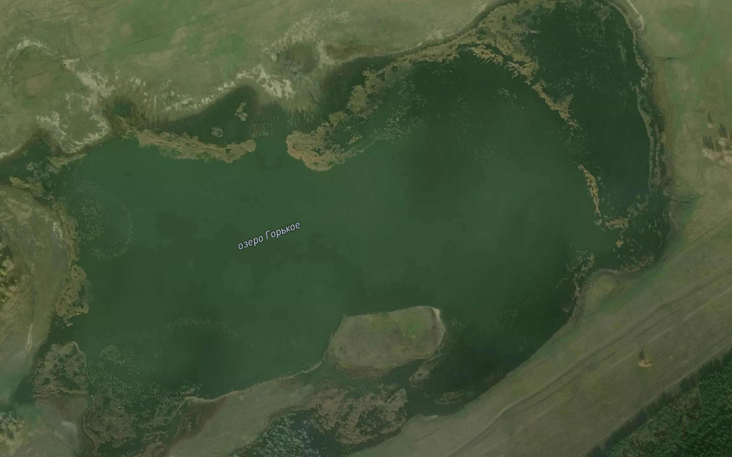 Ozero Gor'koye