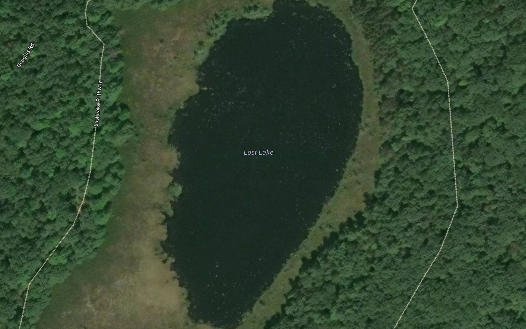Satellite map of the Lost Lake
