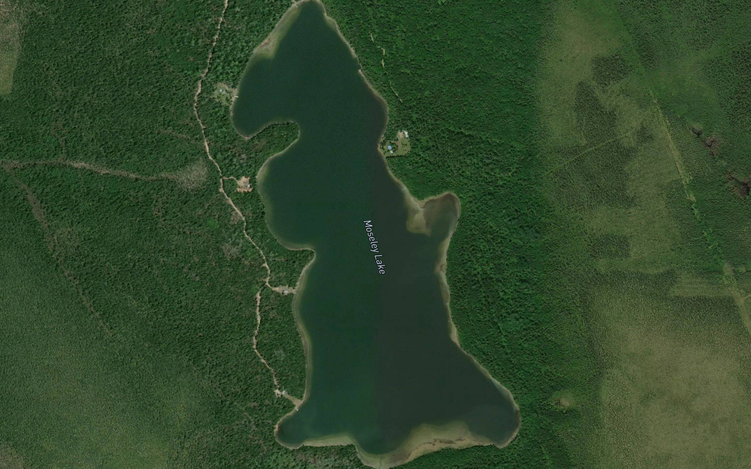 Moseley Lake