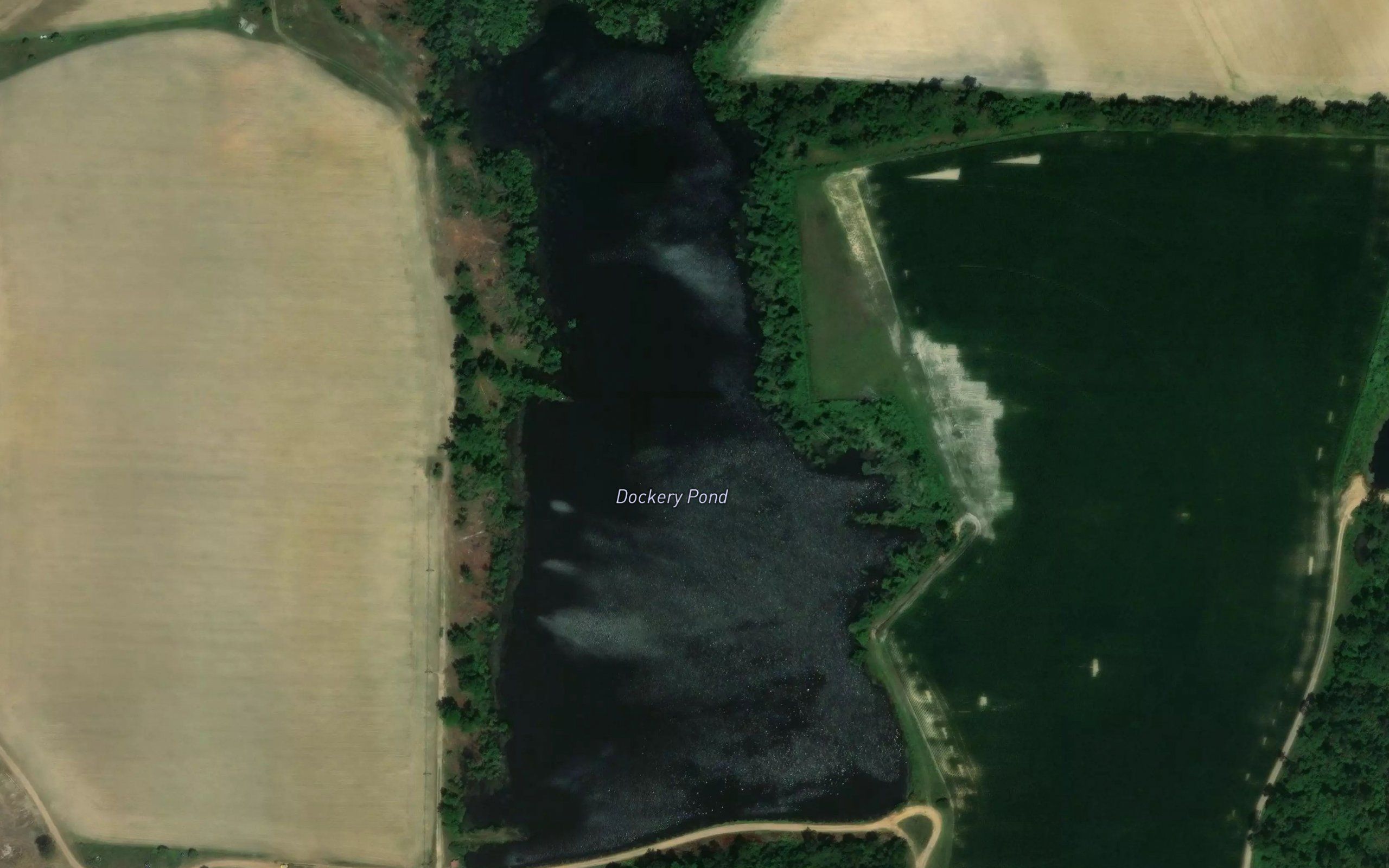 Dockery Pond