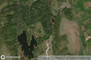 Eastern Run Deadwaters