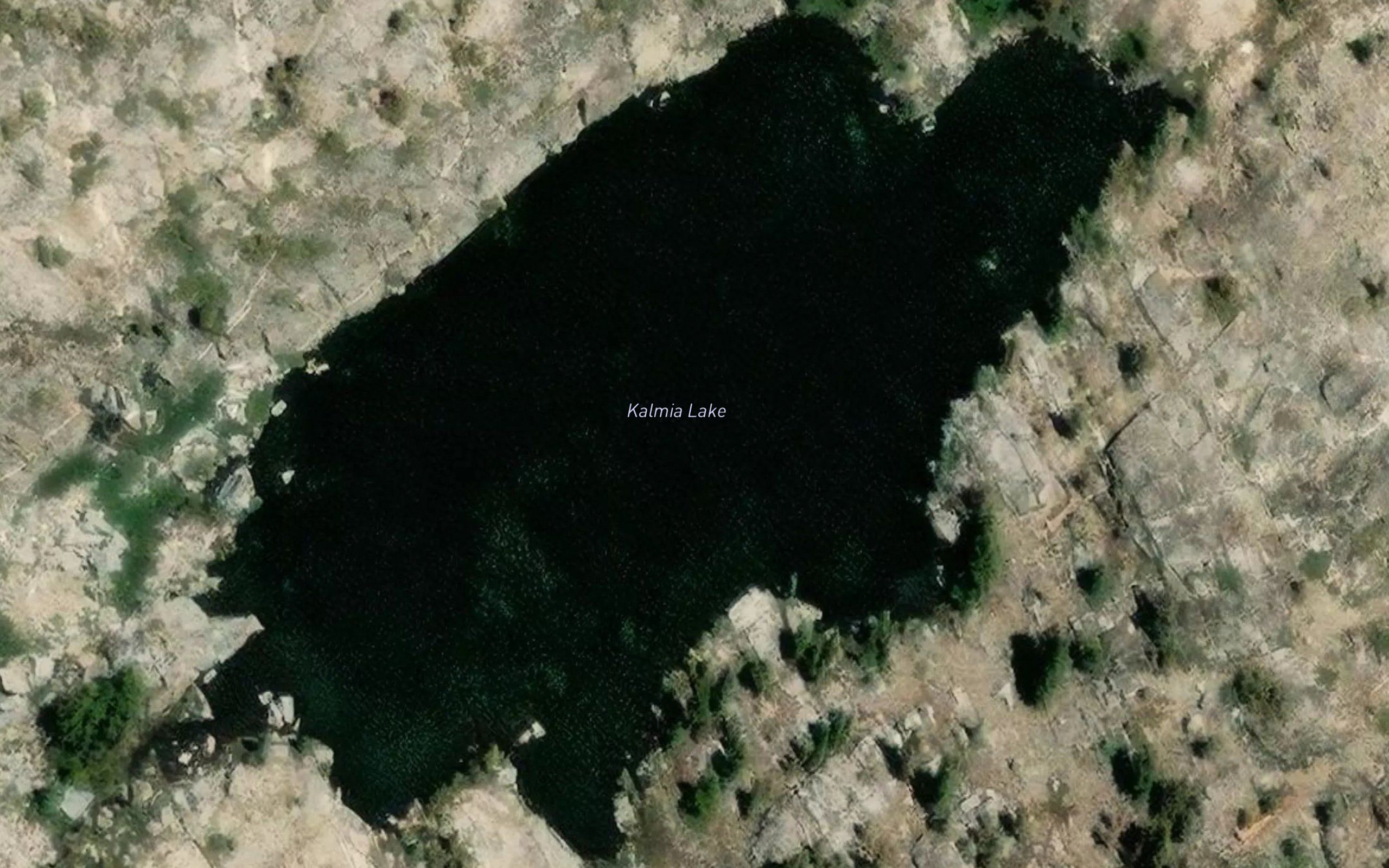 Kalmia Lake