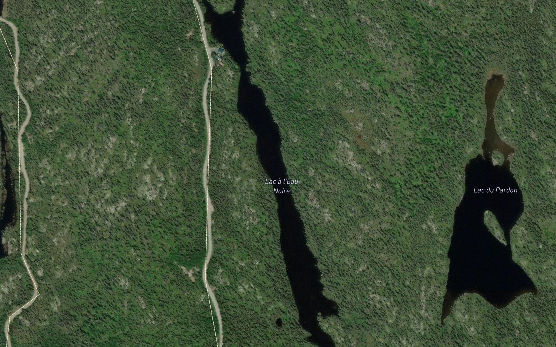 Satellite map of the Lac a l'Eau Noire