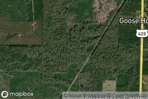 North Fork Panther Creek