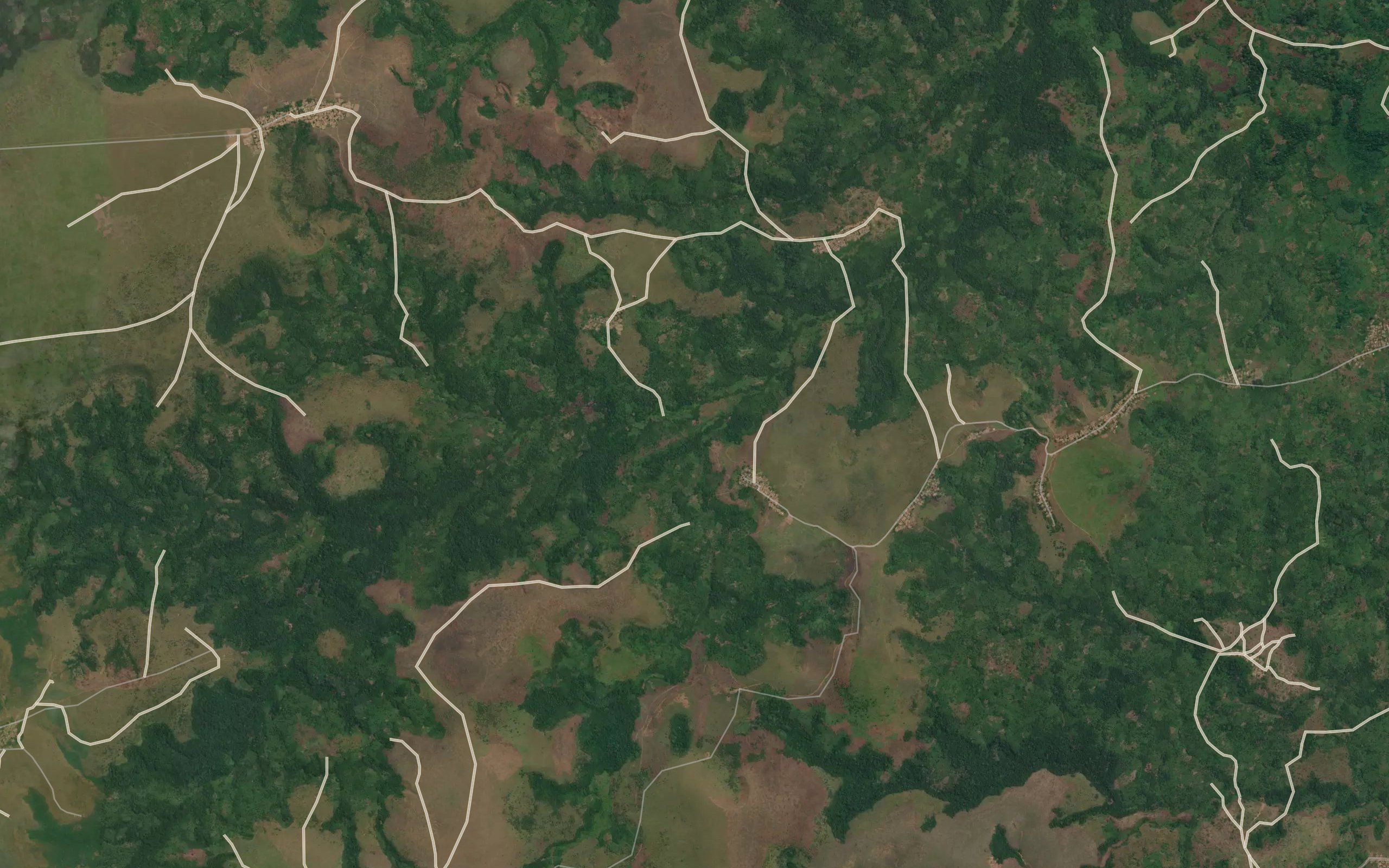 Nzungu
