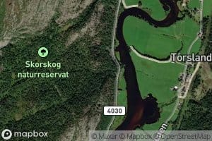 Skorebekk