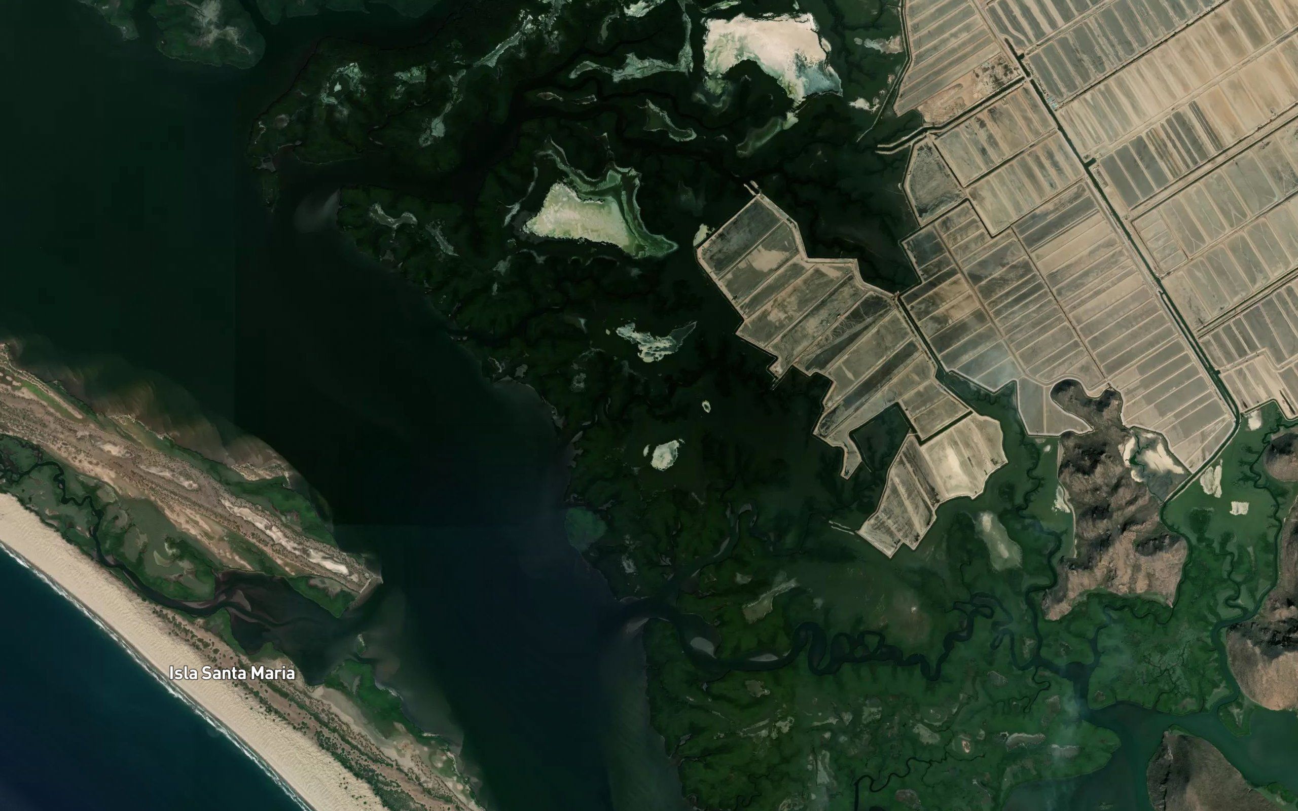Estero el Desecho