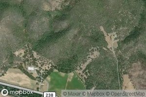 O'Brien Spring