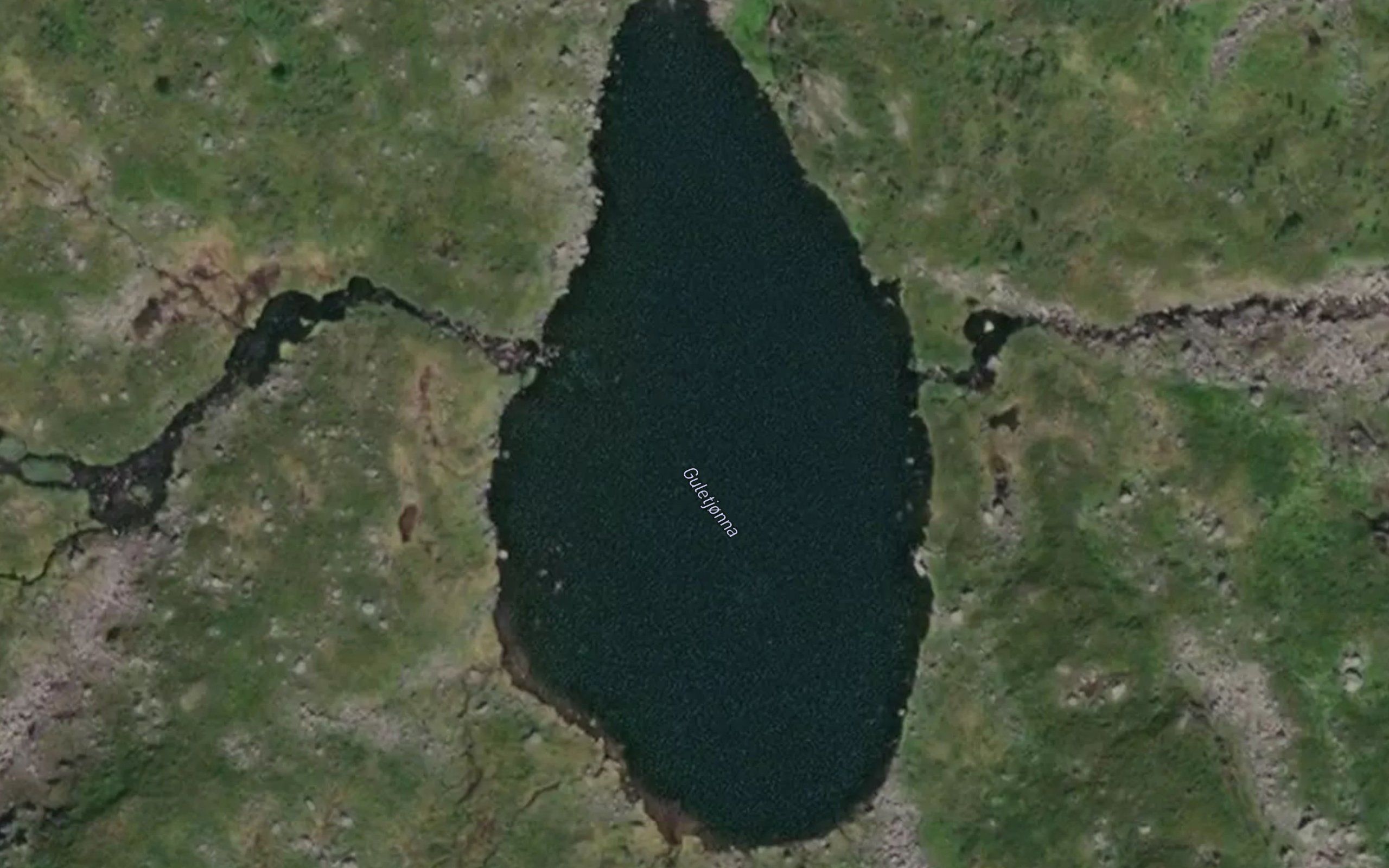 Guletjonna