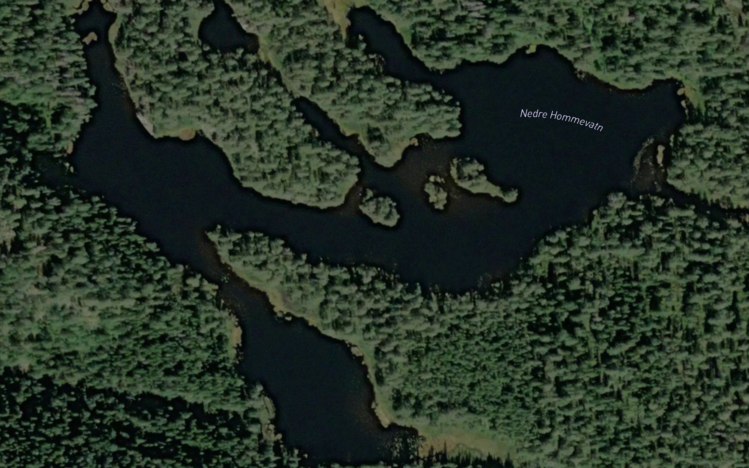Nedre Hommevatn