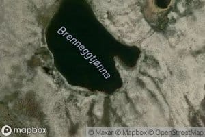 Brenneggtjorna