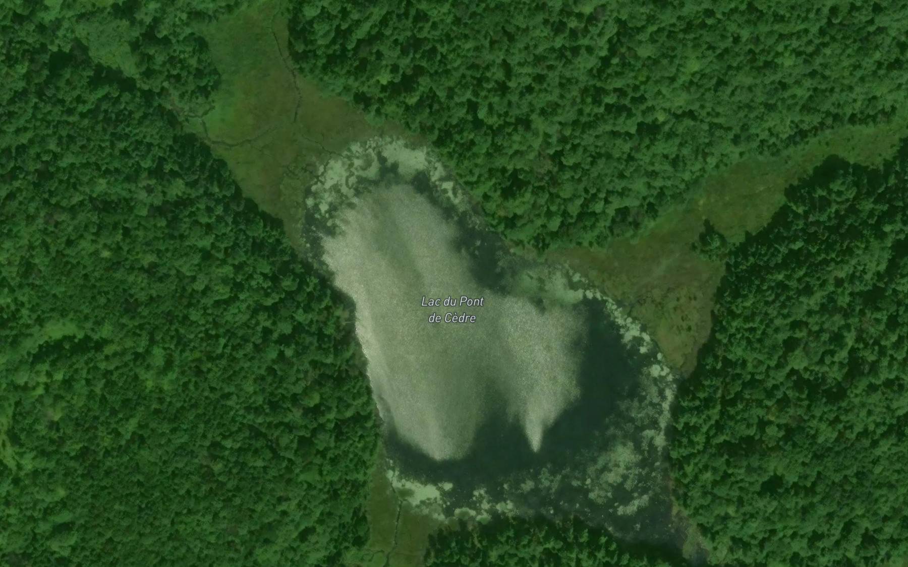 Satellite map of the Lac du Pont de Cedre