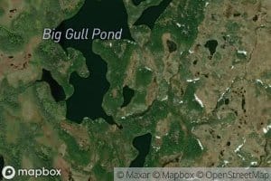 Gull Pond
