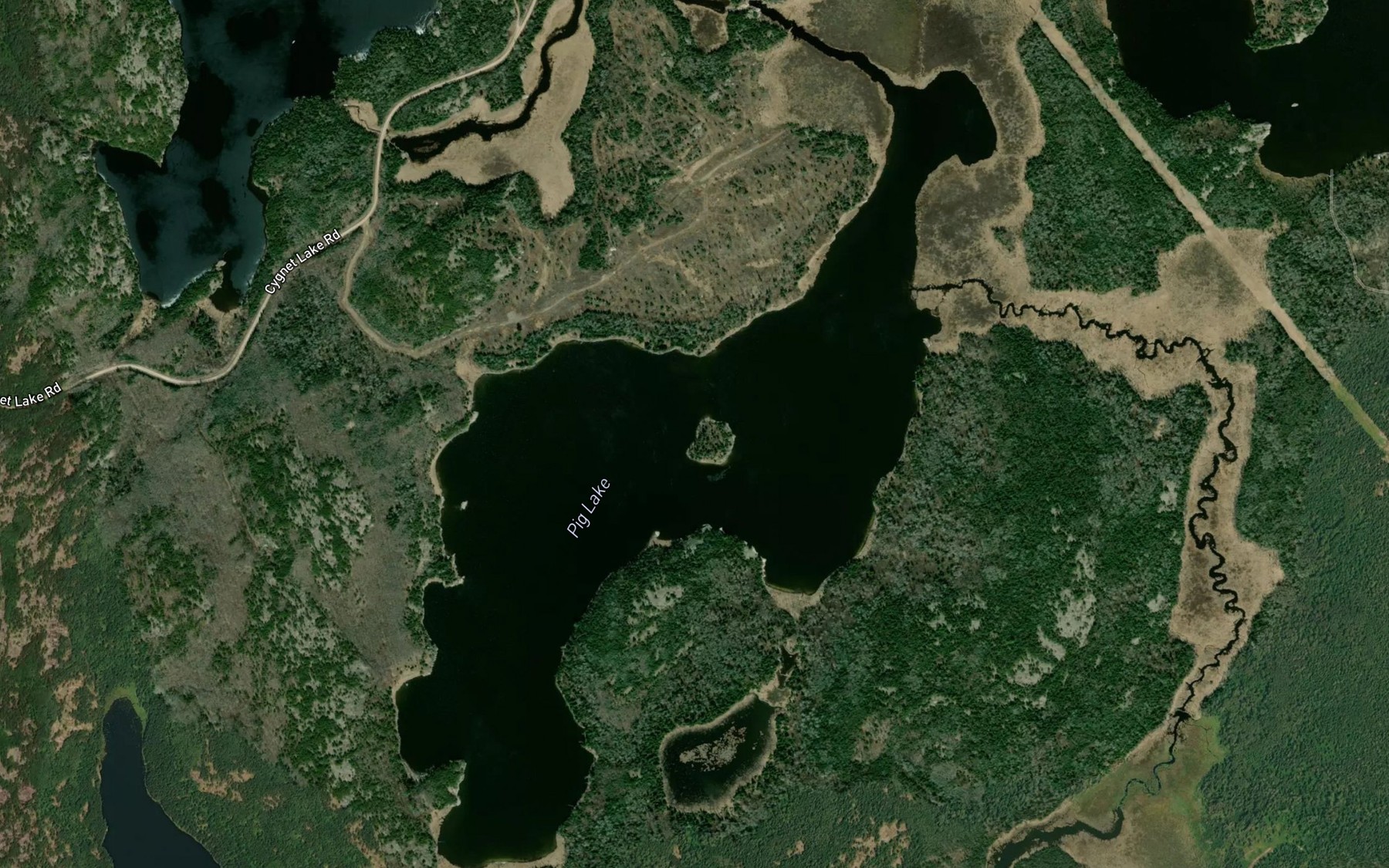 Satellite map of the Pig Lake