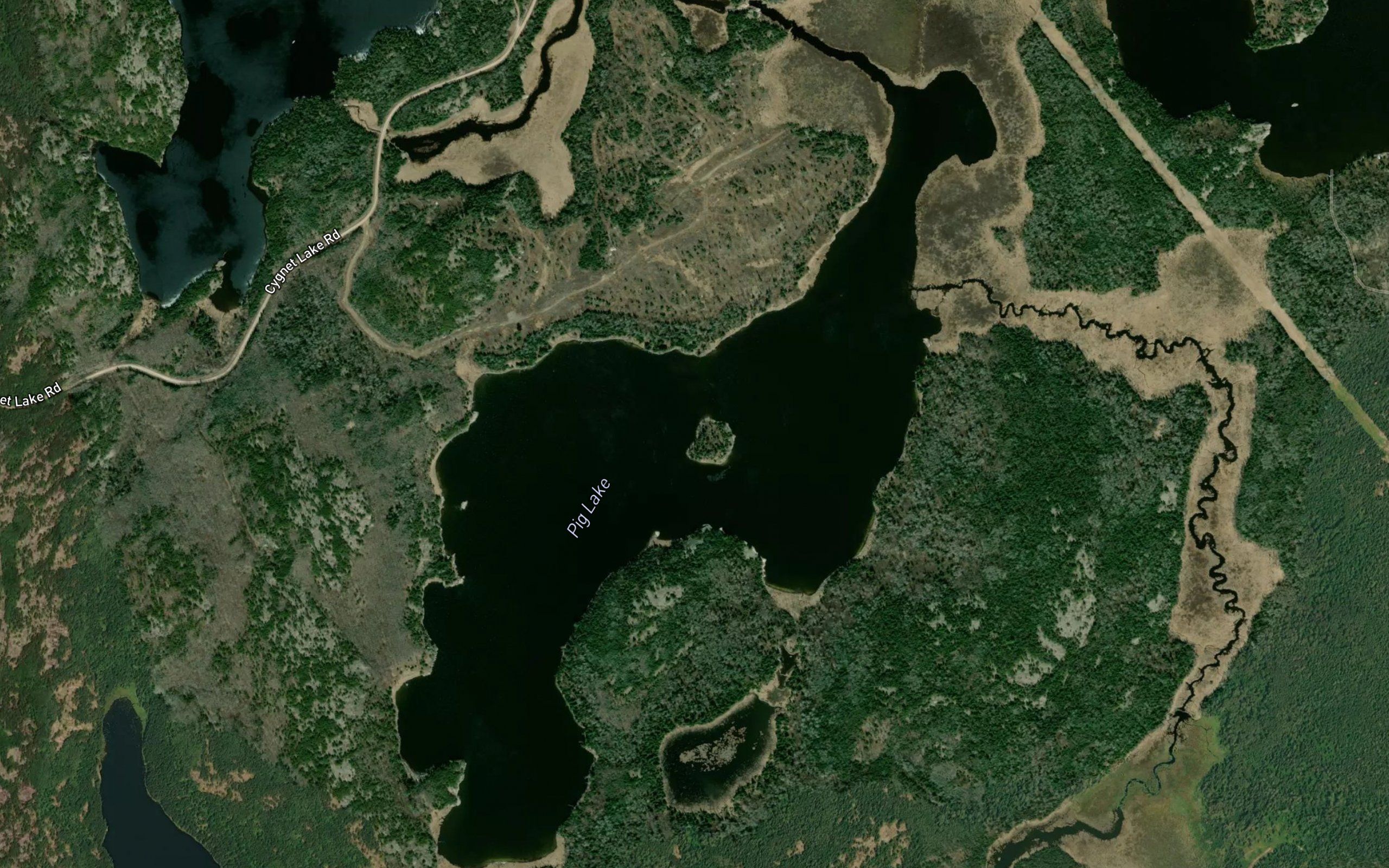 Pig Lake