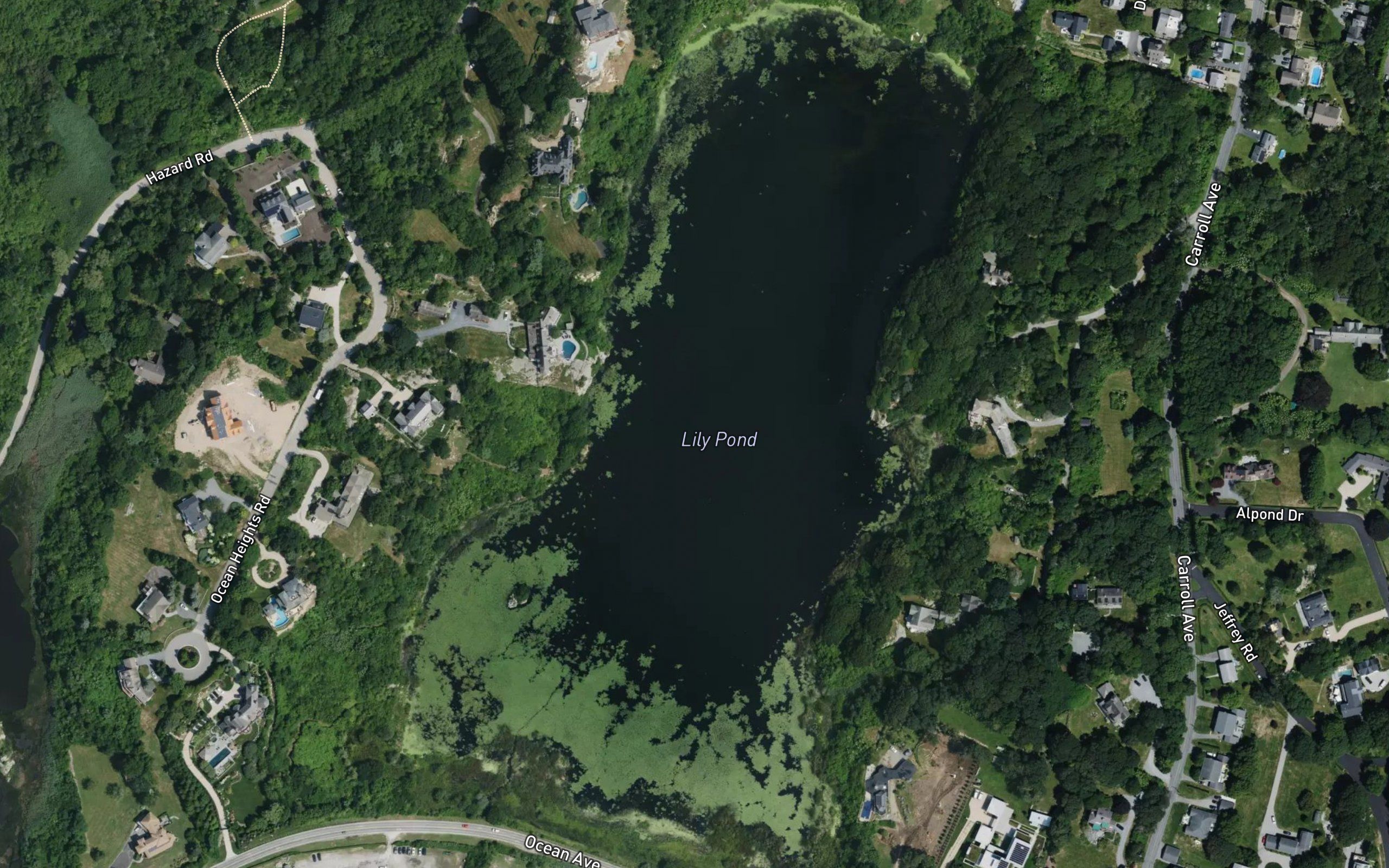 Lily Pond