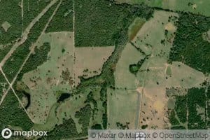 Thundering Springs Branch