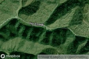 Left Fork Ivy Creek