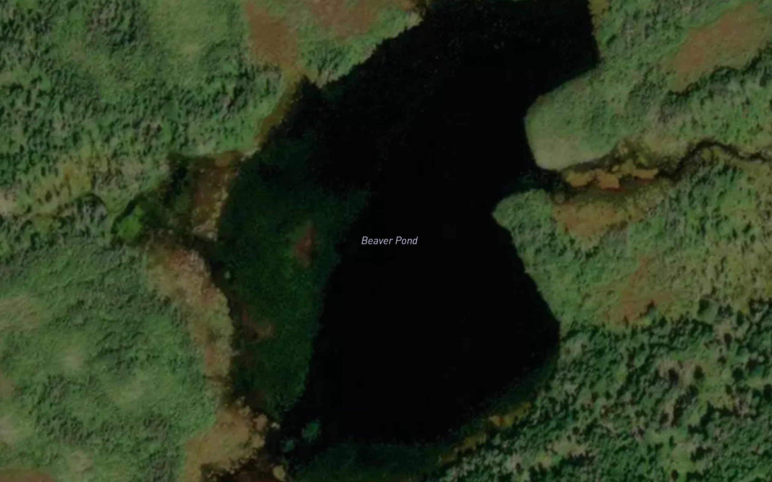 Beaver Pond