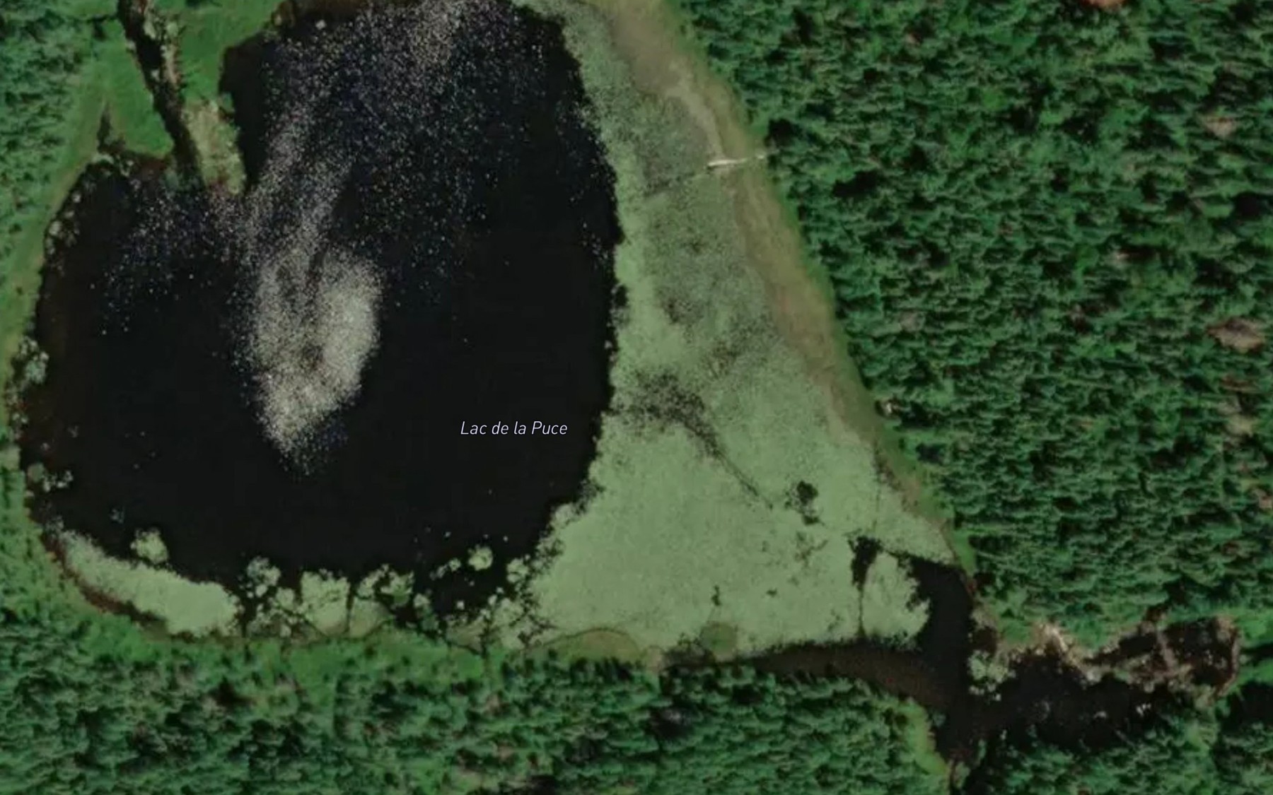 Satellite map of the Lac de la Puce