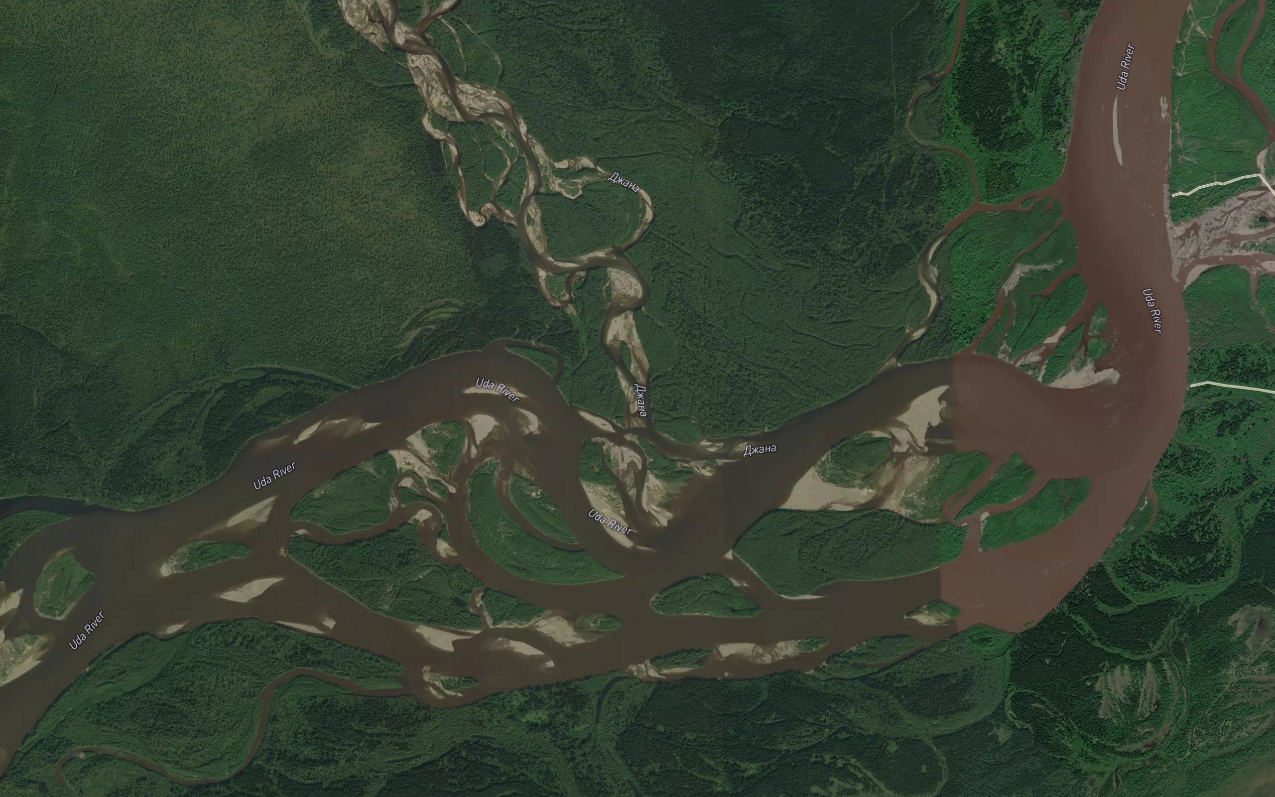 Dzhana