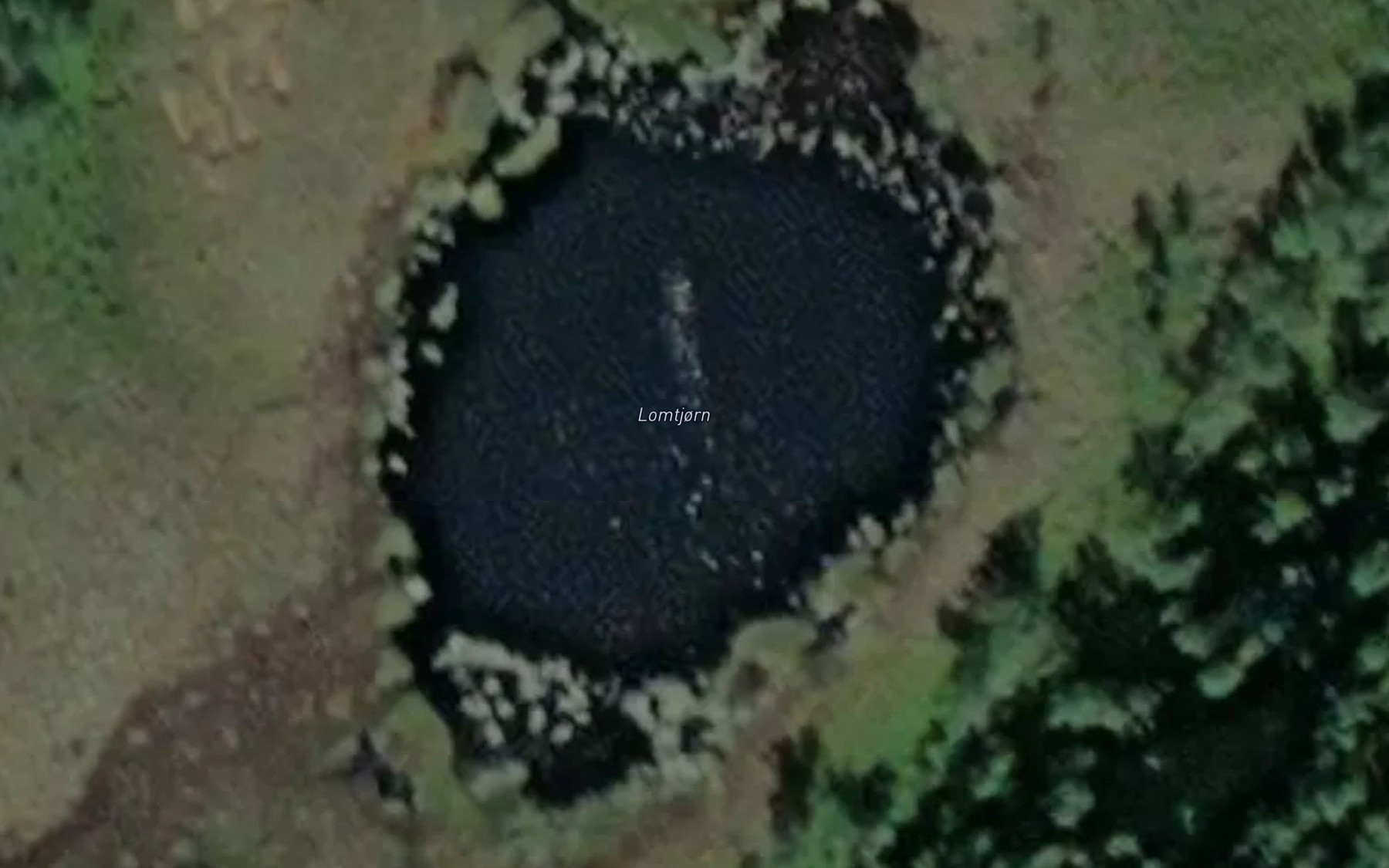 Satellite map of the Lomtjorn