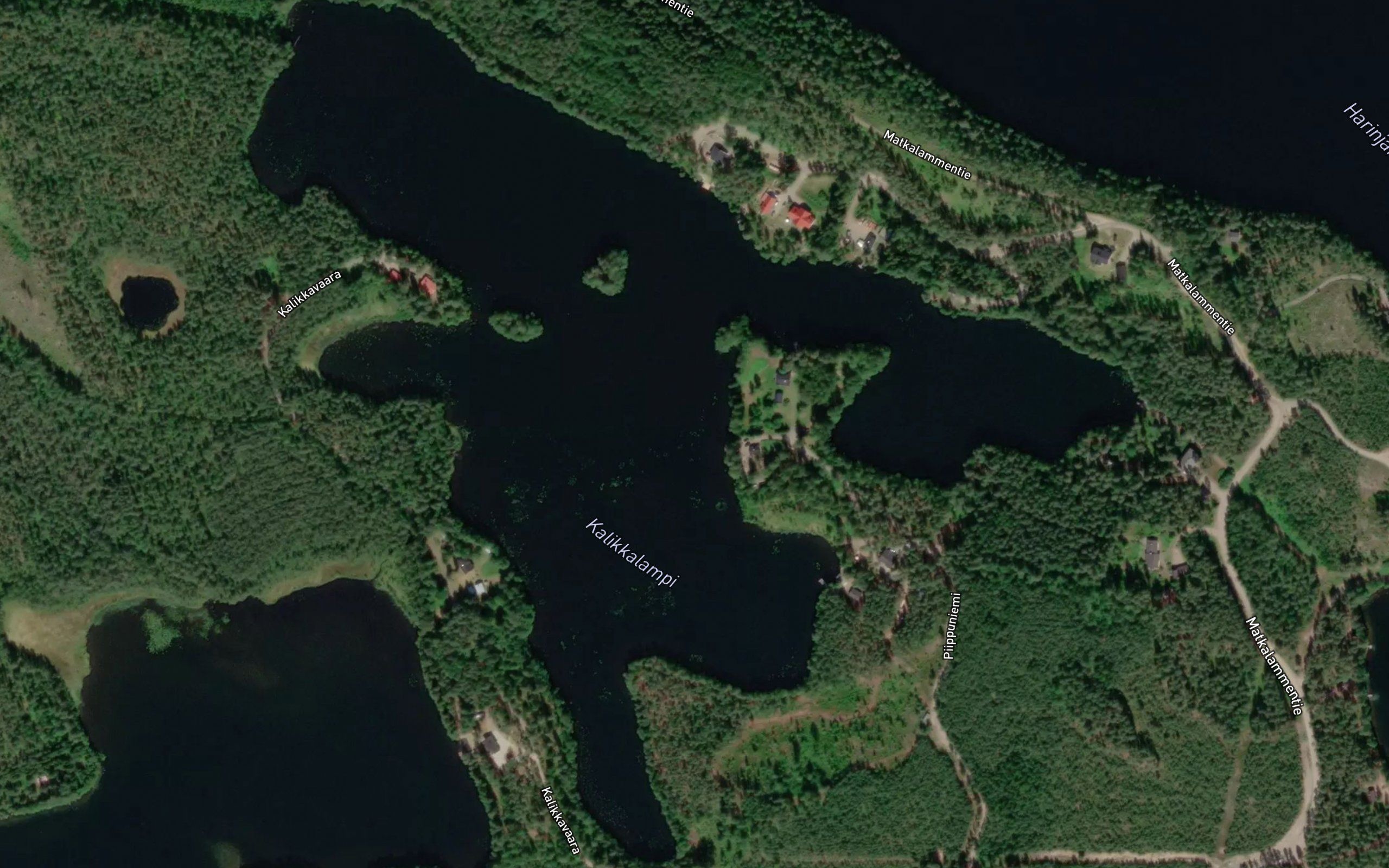 Kalikkalampi