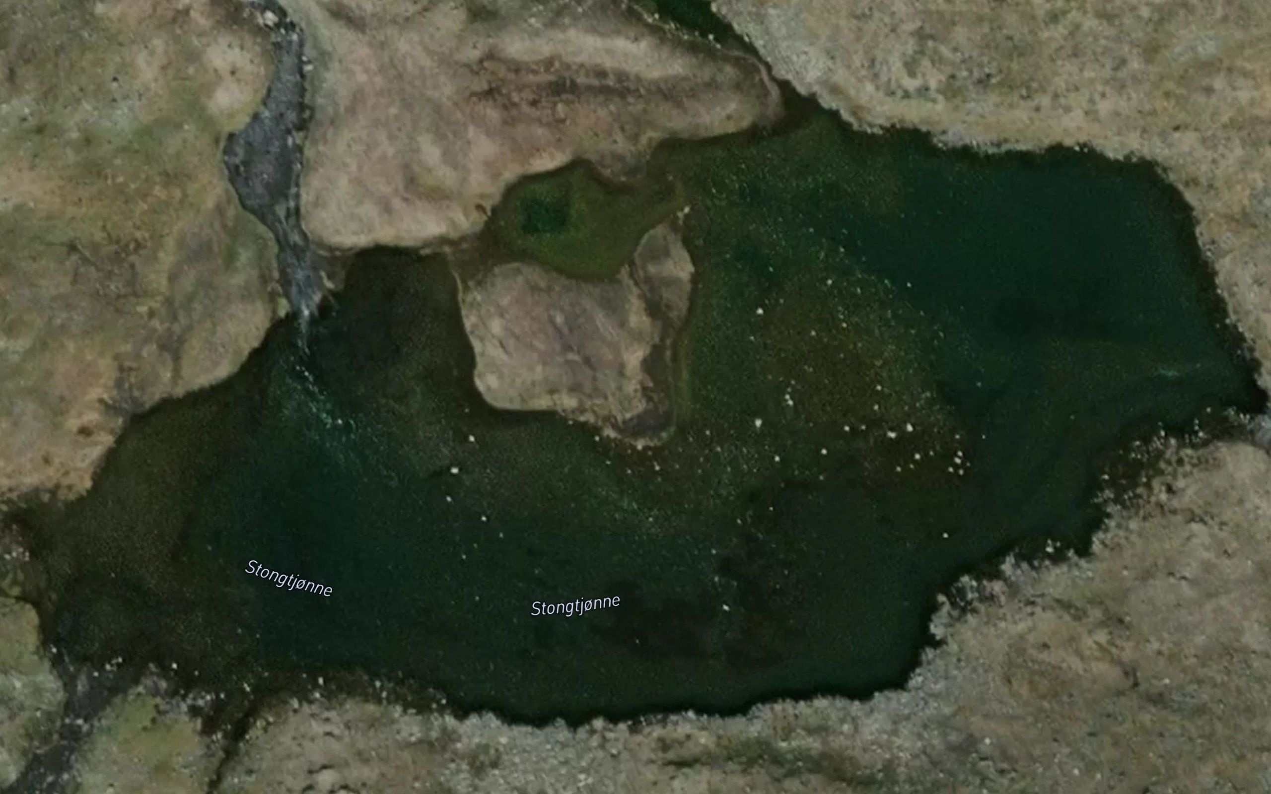 Stangtjorni