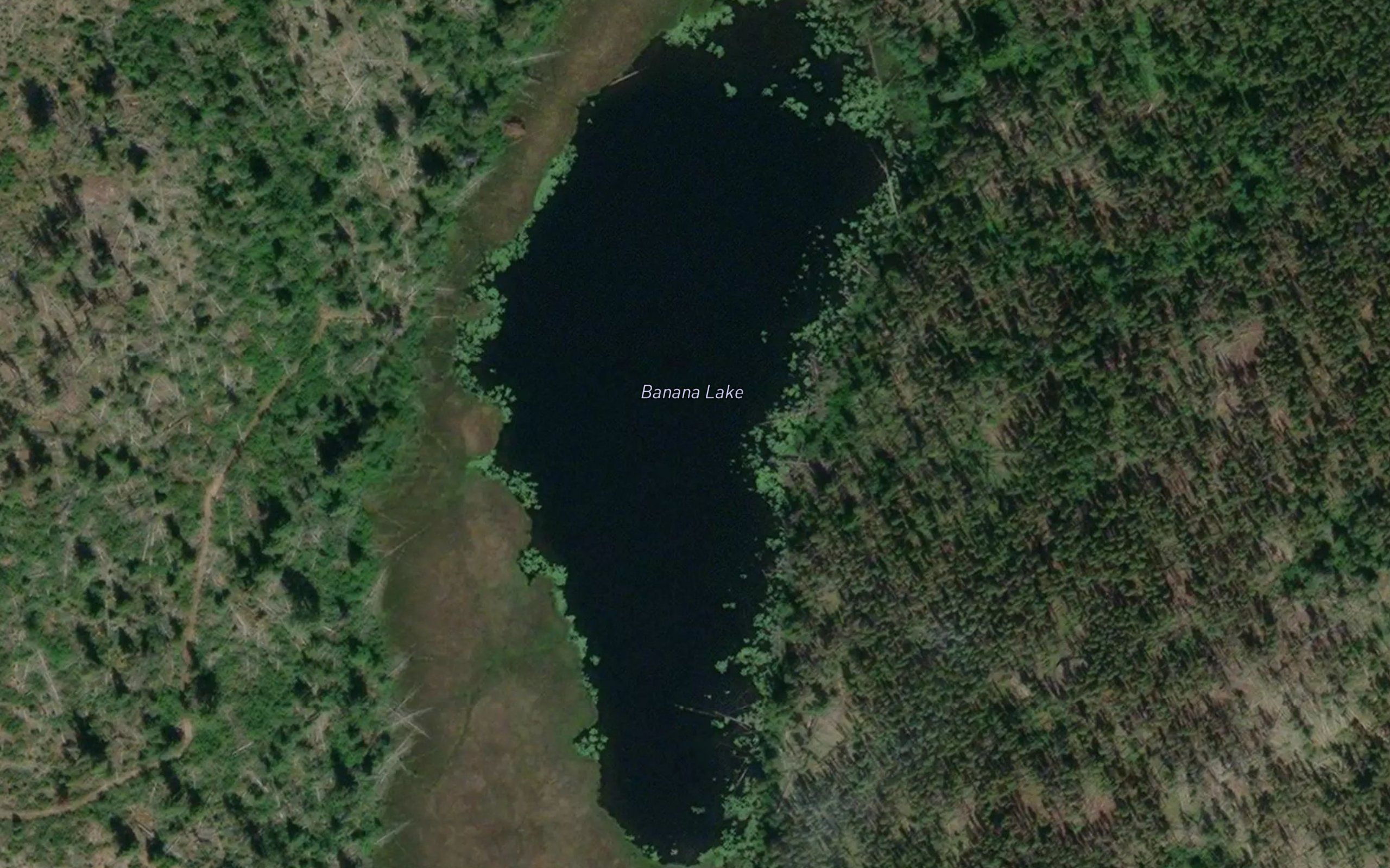 Banana Lake