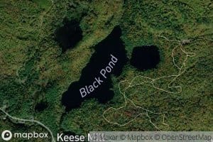 Black Pond