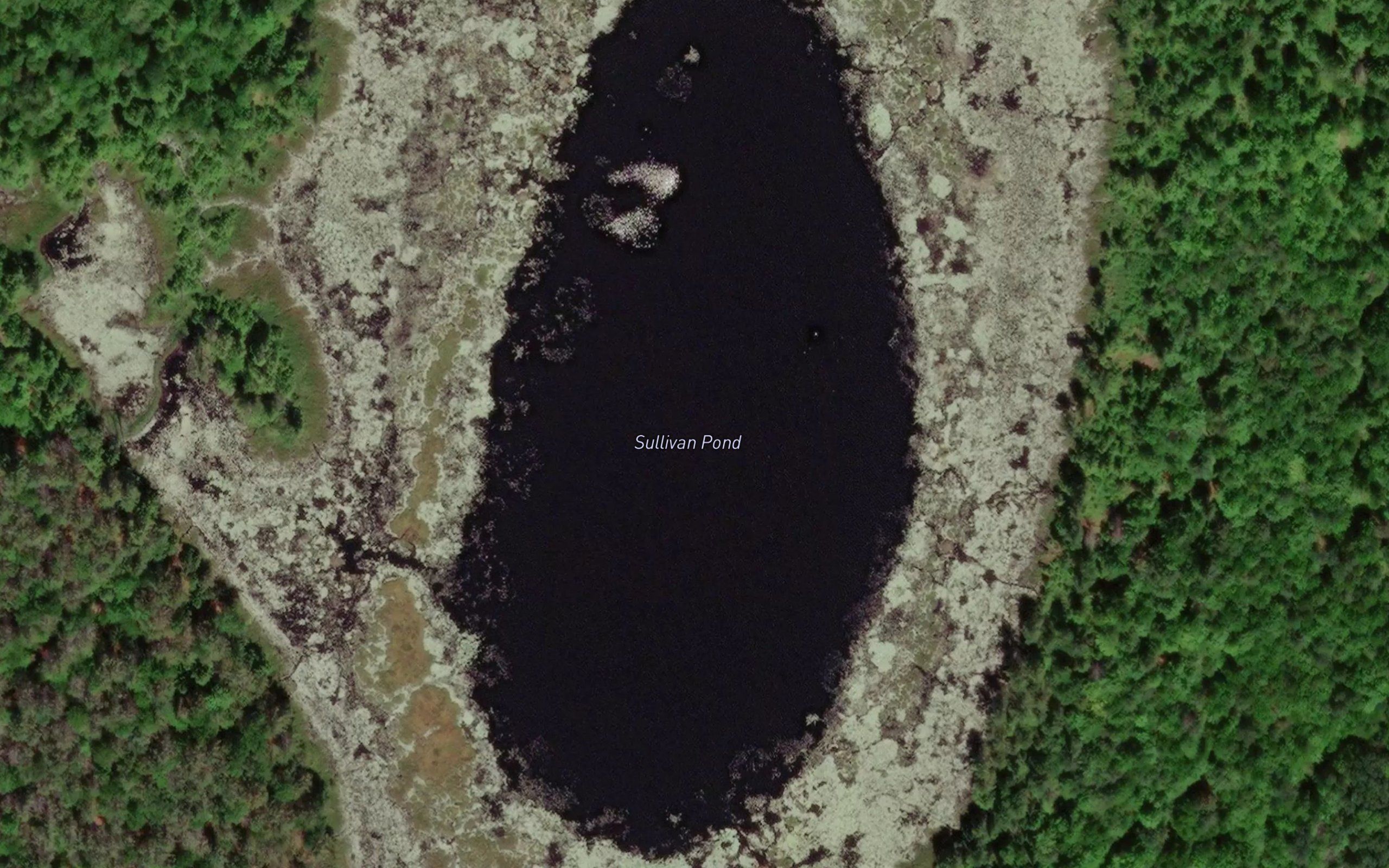 Sullivan Pond