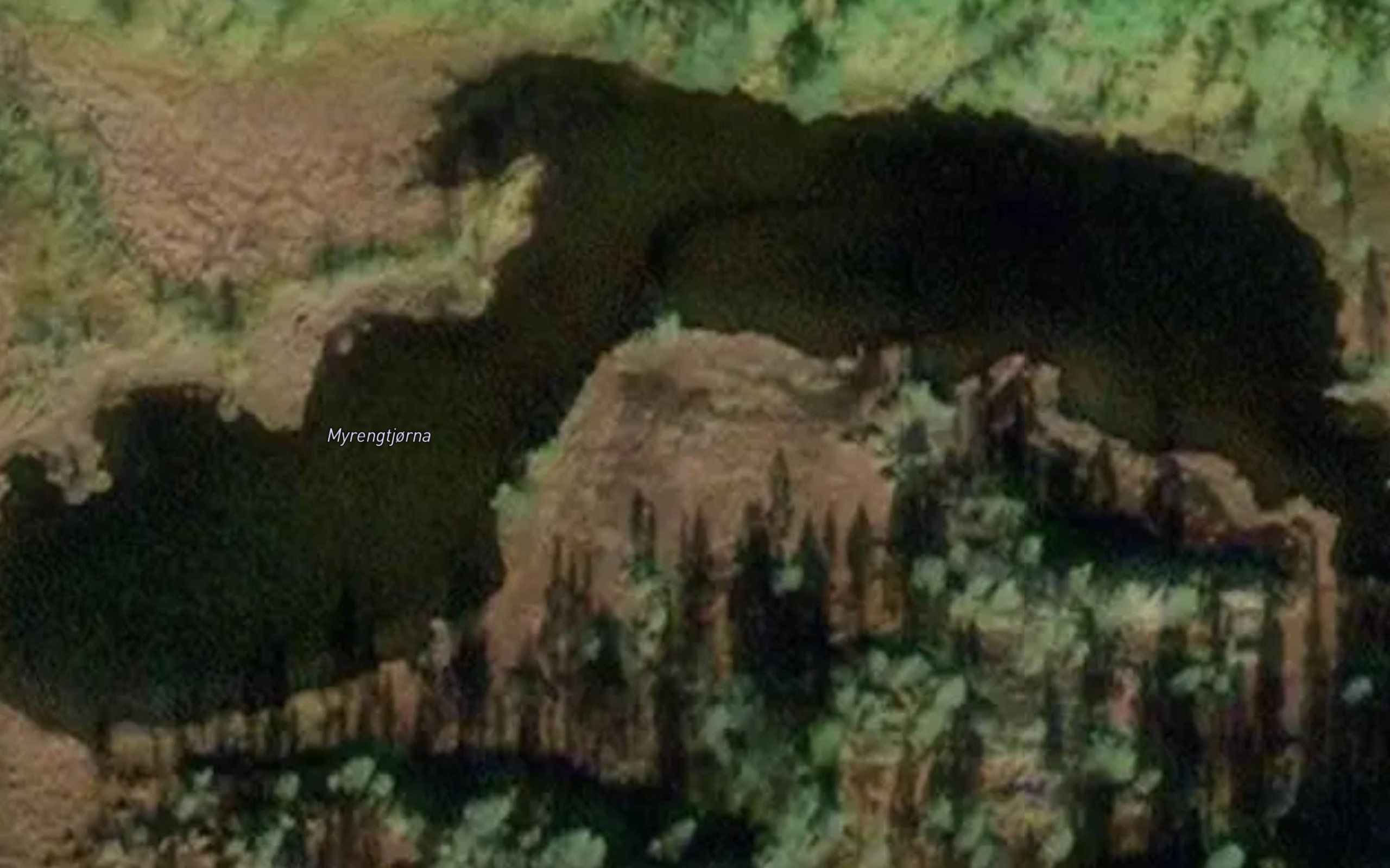 Myrengtjorna