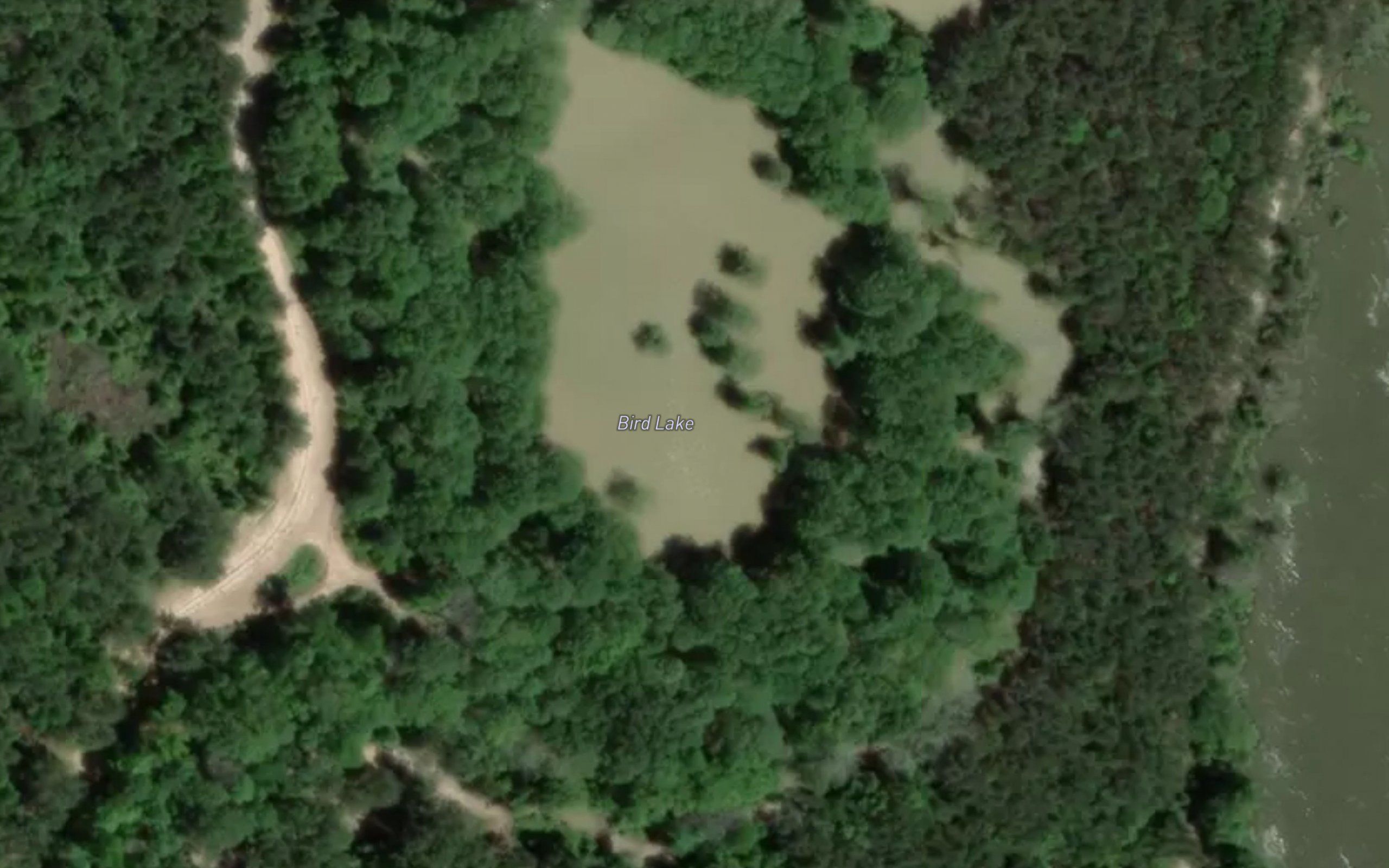 Bird Lake